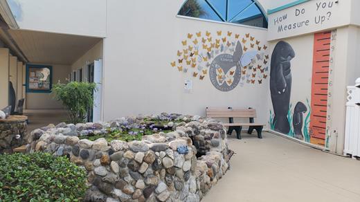 Manatee Observation & Education Center in Fort Pierce